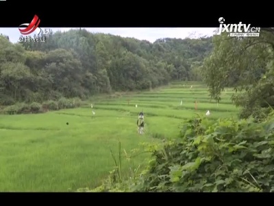 三农要闻20210808