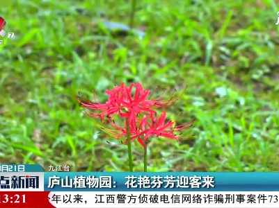 庐山植物园：花艳芬芳迎客来