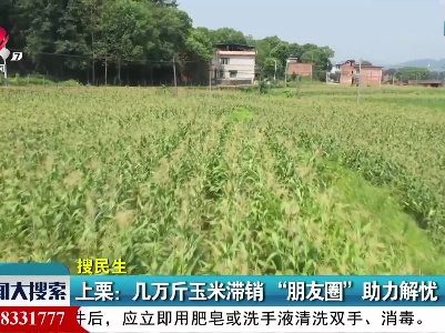 新闻大搜索20210812