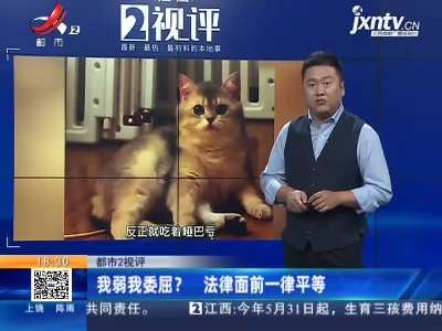 【都市2视评】我弱我委屈？ 法律面前一律平等