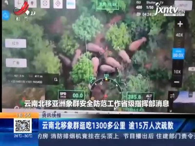 云南北移象群逛吃1300多公里 逾15万人次疏散