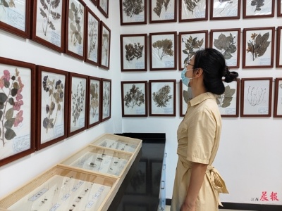 江西将添一免费本土植物科普馆 位于南昌市园林绿化服务中心科研所内