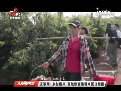 江西旅游报道20210803