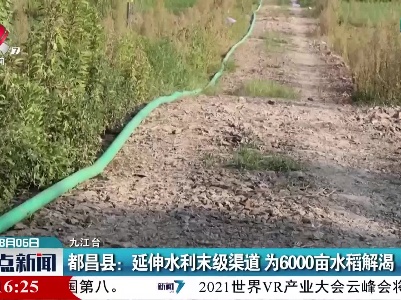 都昌县：延伸水利末级渠道 为6000亩水稻解渴