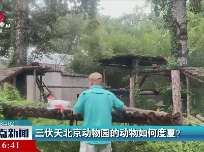三伏天北京动物园的动物如何度夏？