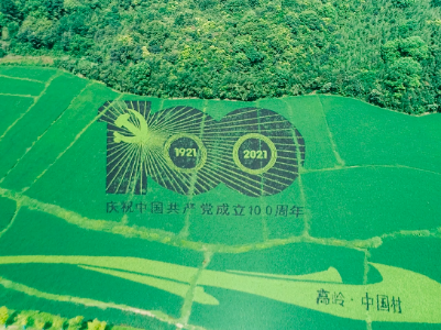 高岭·中国村：“彩色水稻”绘就乡村振兴新图景