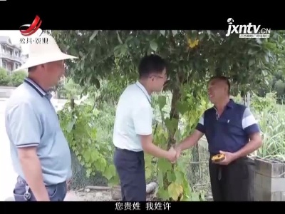 稻花香里20210809 我爱发明——大叔的无人插秧神器