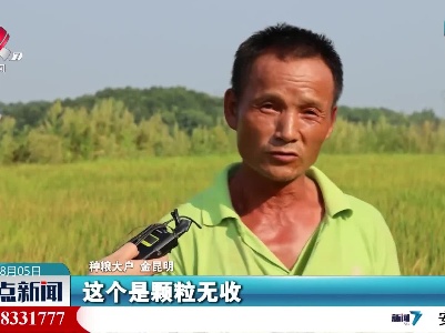 都昌县：延伸水利末级渠道 为600亩水稻解渴