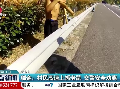 瑞金：村民高速上抓老鼠 交警安全劝离