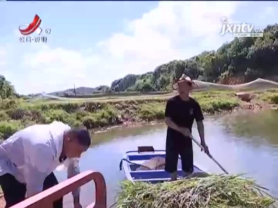 三农要闻20210806
