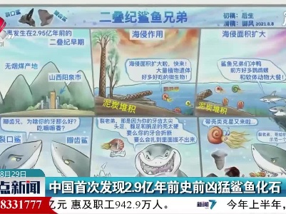 中国首次发现2.9亿年前史前凶猛鲨鱼化石