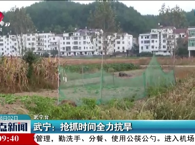 武宁：抢抓时间全力抗旱