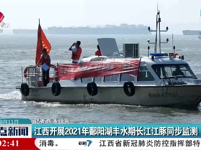 江西开展2021年鄱阳湖丰水期长江江豚同步监测