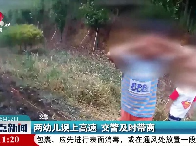 两幼儿误上高速 交警及时带离