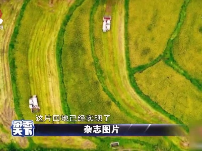 杂志天下20210816