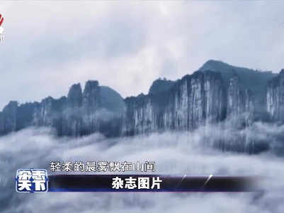 杂志天下20210802