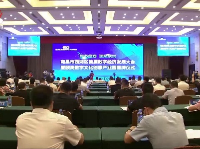 南昌市西湖区举行数字经济发展大会