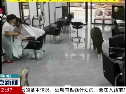 九江：野猪闯入闹市区