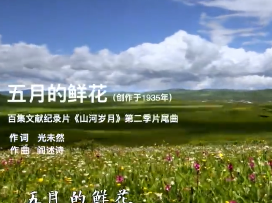 山河岁月 五月的鲜花MV ——纪念日本无条件投降76周年 