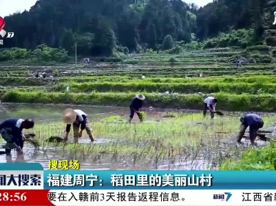 新闻大搜索20210818