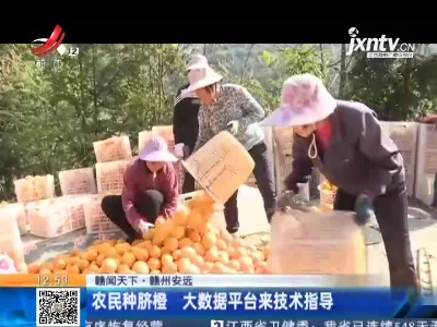 【赣闻天下】赣州安远：农民种脐橙 大数据平台来技术指导