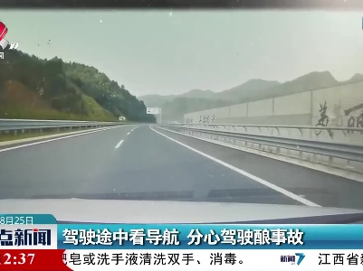 驾驶途中看导航 分心驾驶酿事故