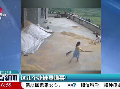 这几个娃娃真懂事！
