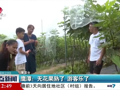 鹰潭：无花果熟了 游客乐了