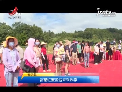 三农要闻20210807