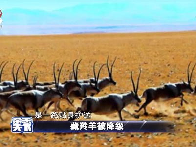 杂志天下20210813