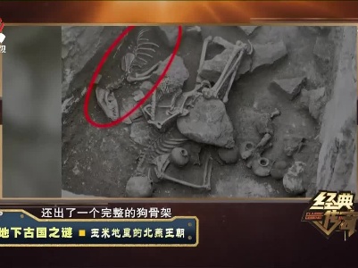 经典传奇20210809 地下古国之谜——玉米地里的北燕王朝