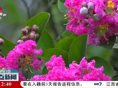庐山植物园：花艳芬芳迎客来