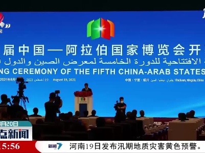 第五届中国——阿拉伯国家博览会开幕