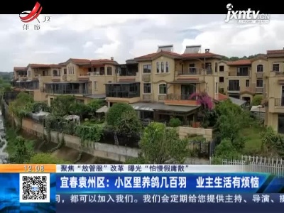 【聚焦“放管服”改革 曝光“怕慢假庸散”】宜春袁州区：小区里养鸽几百羽 业主生活有烦恼