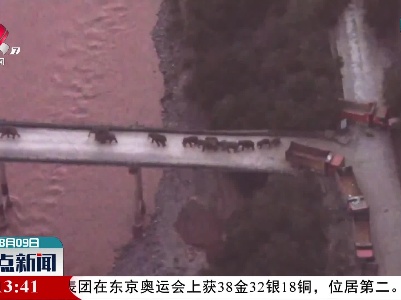 云南北移亚洲象群安全跨越元江