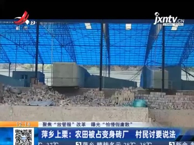 【聚焦“放管服”改革 曝光“怕慢假庸散”】萍乡上栗：农田被占变身砖厂 村民讨要说法