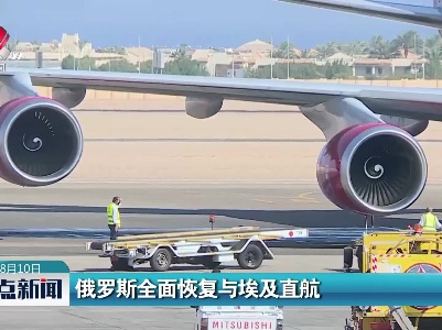 俄罗斯全面恢复与埃及直航