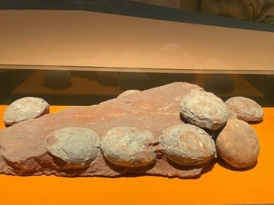 浙江最古老的岩石：源自龙游 距今已有18亿年