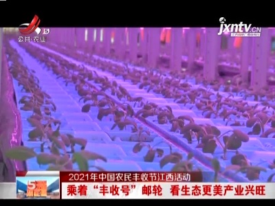 【2021年中国农民丰收节江西活动】乘着“丰收号”邮轮 看生态更美产业兴旺