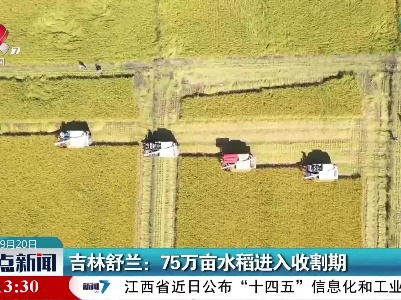 吉林舒兰：75万亩水稻进入收割期