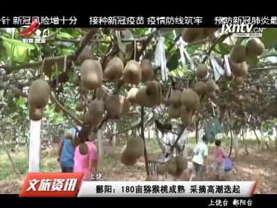 江西旅游报道20210903