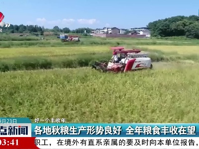 【好一个丰收年】各地秋粮生产形势良好 全年粮食丰收在望