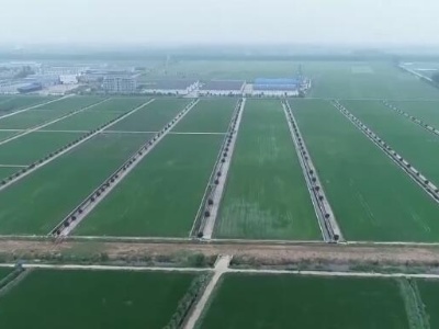 保障粮食安全 | 2030年我国累计建成12亿亩高标准农田 保障1.2万亿斤粮食产能