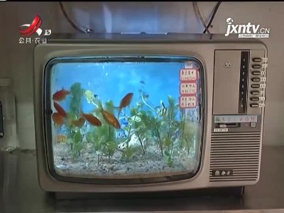 巧手工匠 帮忙变“旧”为宝