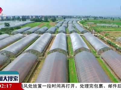 新闻大搜索20210925
