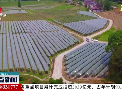 九江：坚决遏制违法占用耕地行为