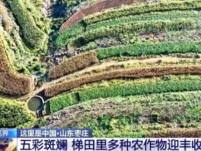 全国各地陆续进入收获季 田间一幅喜人的秋收图景