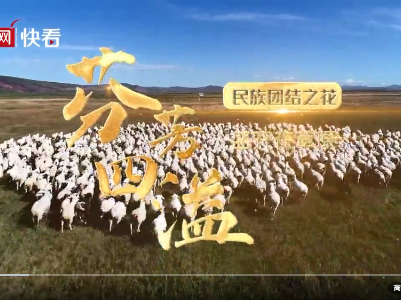 【石榴花开 籽籽同心】芬芳四溢——民族团结之花盛开在草原