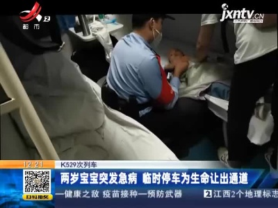 K529次列车：两岁宝宝突发急病 临时停车为生命让出通道