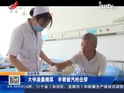 吉安青原：大爷凌晨摘菜 手臂被汽枪击穿